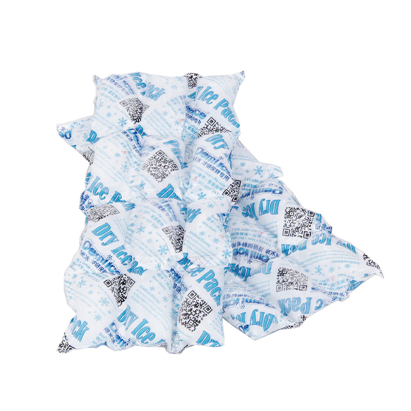 Nueva llegada Sap Cooler Bag Fabricante Paquete de gel de hielo para bolsa de almuerzo